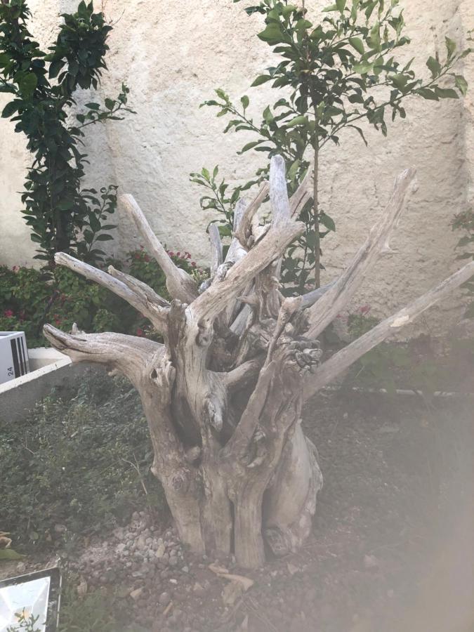 B&B Villa S.Anna Bari Buitenkant foto